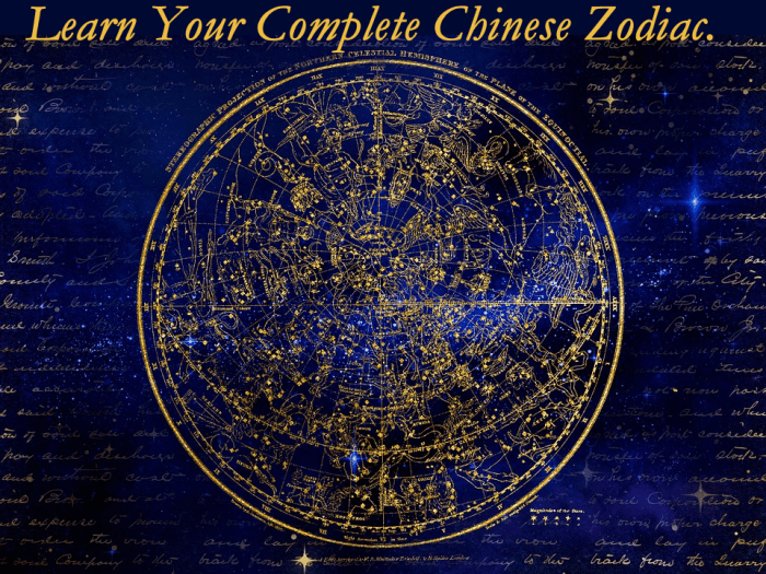 This article will give you a quick understanding of the Chinese Zodiac, plus give you the ability to work out your own sign accurately.