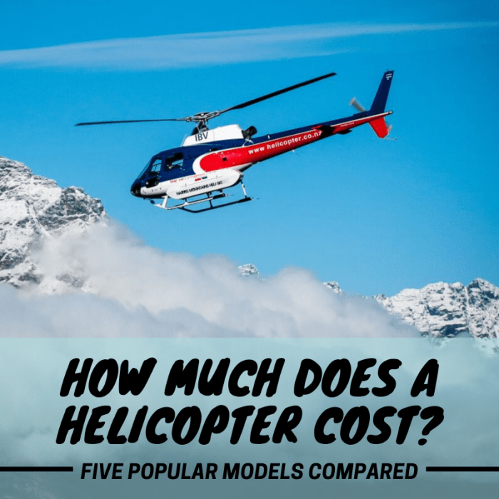 How Much Does a Helicopter Cost? - ToughNickel - Money