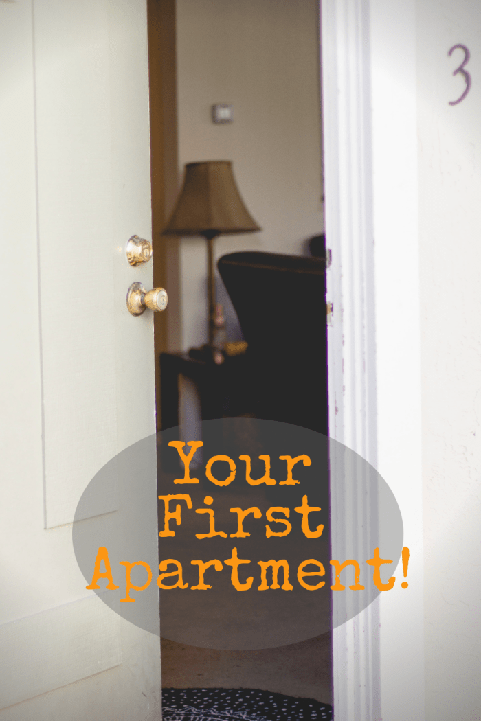 Taking the right steps towards getting your first apartment will help you secure your dream spot independently.