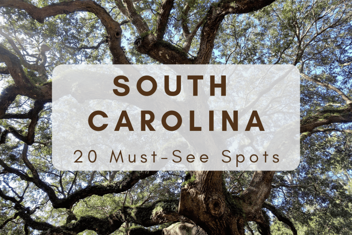 South Carolina is a gorgeous state with no dearth of things to see and do. Here are the sites you won't want to miss!