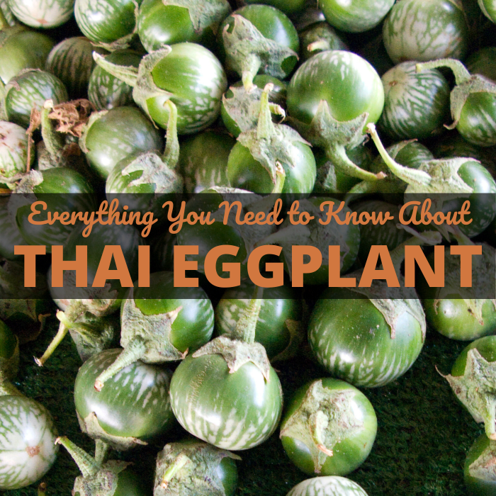 hvor mye vet Du Om Thai aubergine?