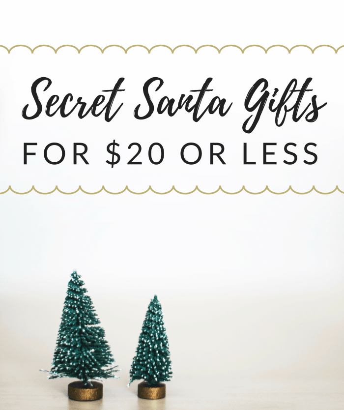 Trying to figure out what gift to get for your Secret Santa can be stressful, but don't worry—these fun and low-cost present ideas have you covered!