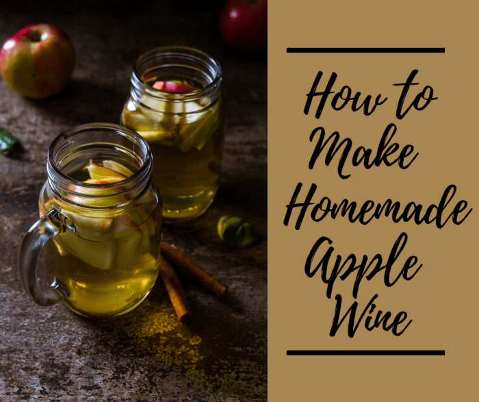 How to Make Easy Homemade Apple Wine Delishably Food and Drink
