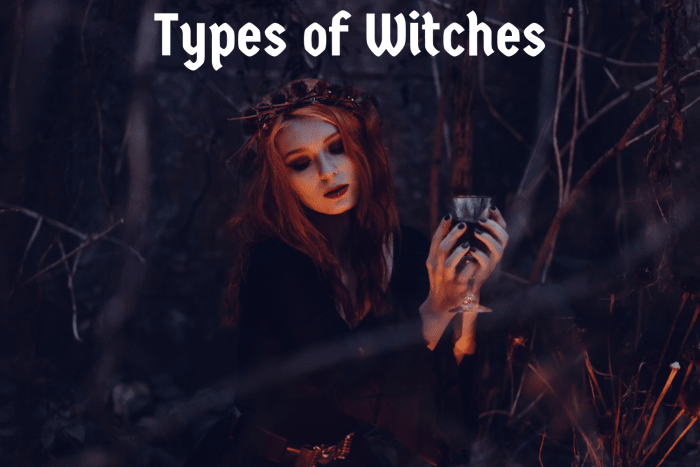 There are many different witchcraft traditions from all over the world. Find out which type of witch you are!