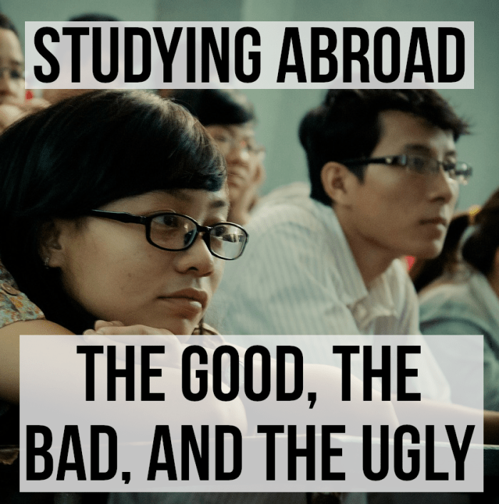 Studying abroad can bring with it many advantages, it often broadens the mind and deepens the learning experience. There are disadvantages too, however, increased education costs, as well as language and cultural barriers to overcome, for instance.