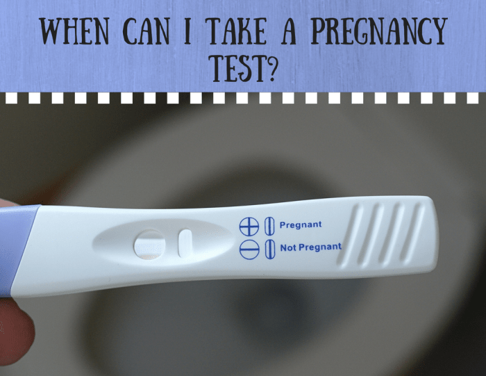 How Soon Can I Take a Pregnancy Test? - WeHaveKids - Family