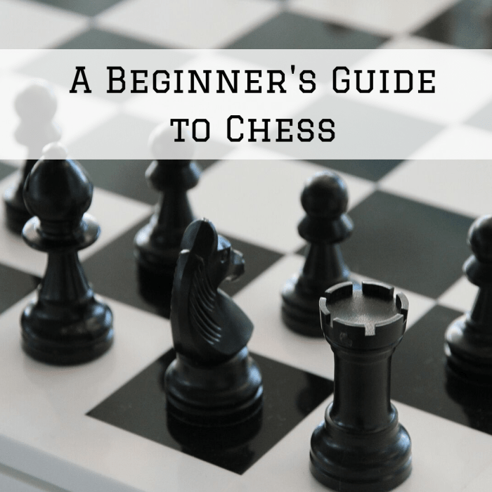 Learn how to set up a game of chess, move the different pieces, and start playing this classic game.
