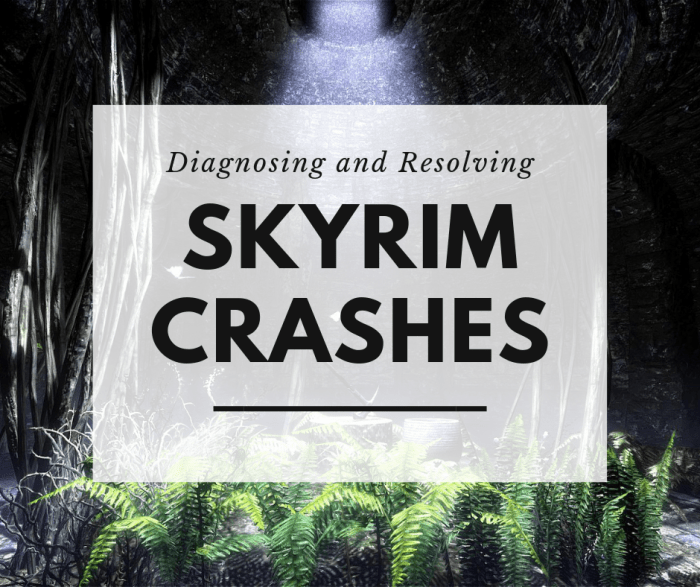 Stürzt dein Spiel immer wieder ab? Suchen Sie nach einer Lösung? Hier sind einige häufige Gründe, warum Ihr "Skyrim" -Spiel abstürzt . . . und was Sie dagegen tun können."Skyrim" game is crashing . . . and what you can do about it. 