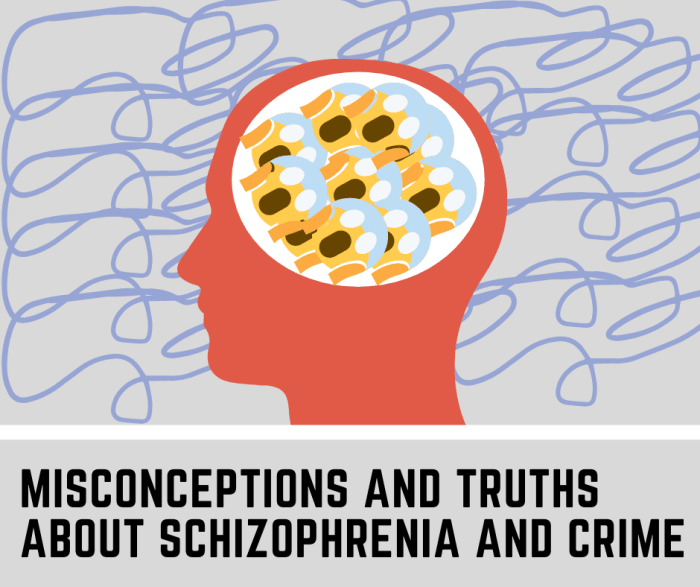 There are several misconceptions about crime and mental illness. That said, some mentally ill people do become violent. Read on to learn more about this.