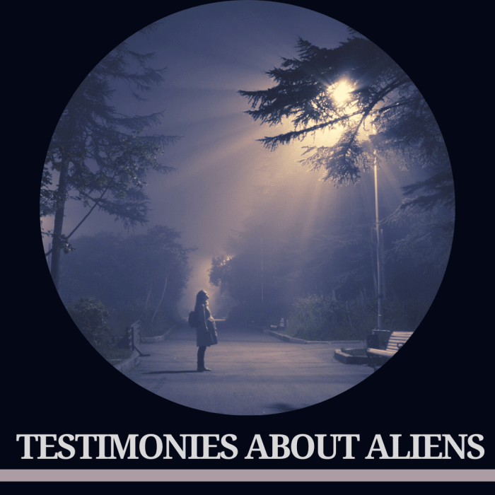 These are some of the most credible UFO testimonials on record.