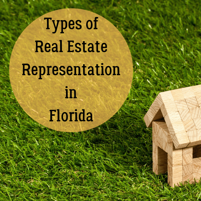 Compare single agency and transaction broker representation, and learn why dual agency representation is typically outlawed.