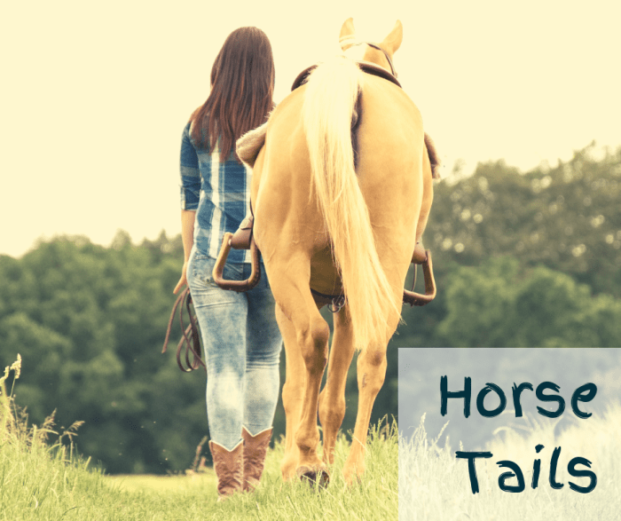 What's A Horses Tail For? PetHelpful By fellow animal lovers and
