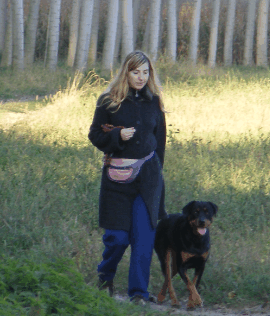 You know you have a well-trained dog when leashes are no longer needed. Off leash walks are the best, but not many dogs can earn this luxury!