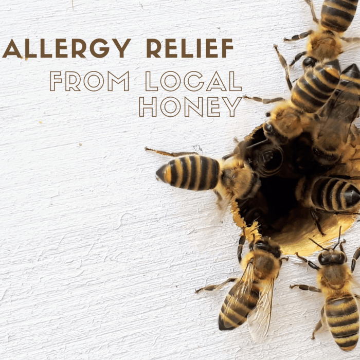 Benefits From Local Raw Honey for Allergy Relief RemedyGrove