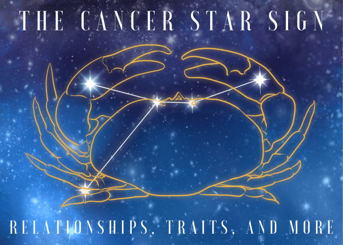 Everything There Is to Know About the Zodiac Sign Cancer Exemplore