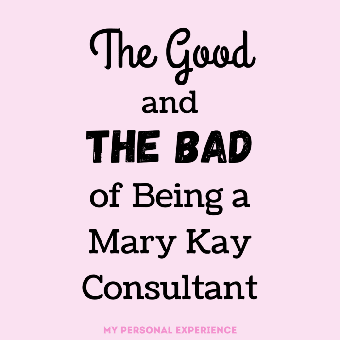 Read about my personal journey as a Mary Kay Consultant and the positive and negative experiences I had.