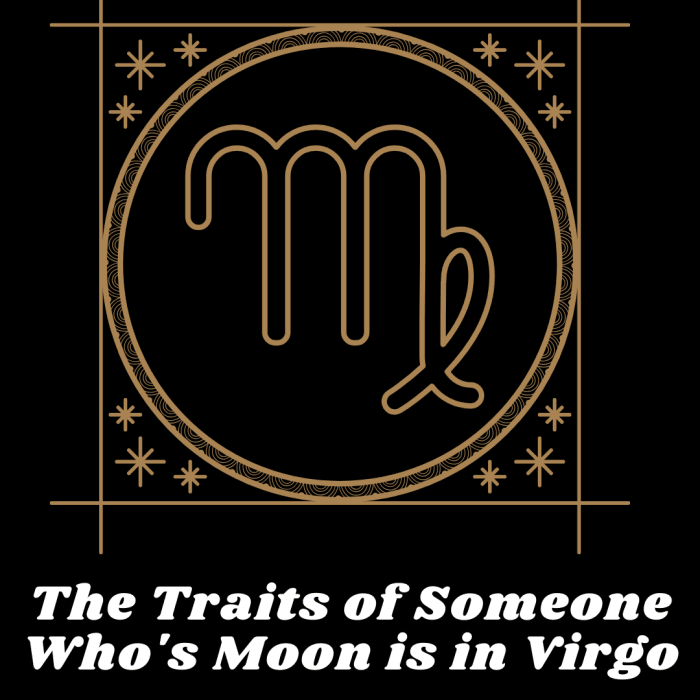 Los rasgos de alguien que la luna está en virgo.'s moon is in virgo.