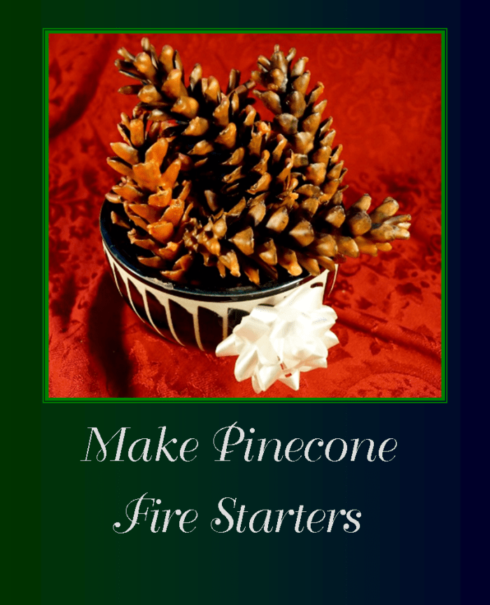 Download How to Make Pine Cone Fire Starters - Fun Crafts - FeltMagnet - Crafts