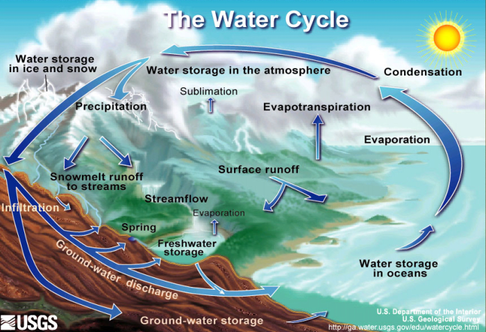 Following the blue arrows, you can see that water evaporates, rises as vapor, condenses into clouds, precipitates as rain and snow, flows down into lakes, rivers, and streams or absorbs into the ground, heading for the ocean to start the cycle again.