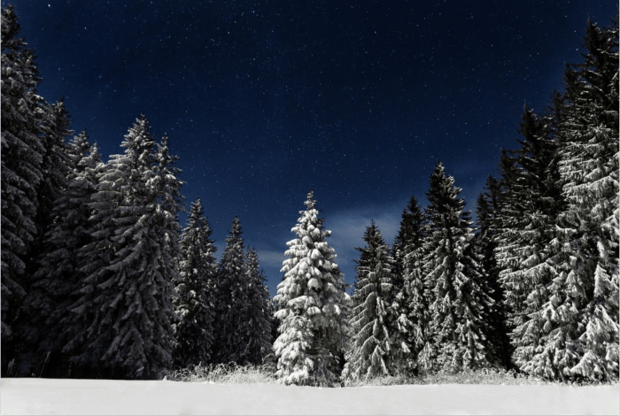 What makes Christmas in Scotland so special? From good cheer to traditional eats, you can't go wrong with a Scottish holiday.