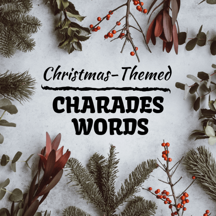 Charades is a great game to play with a theme in mind. Why not play some holiday-themed charades at your Christmas party or family gathering?