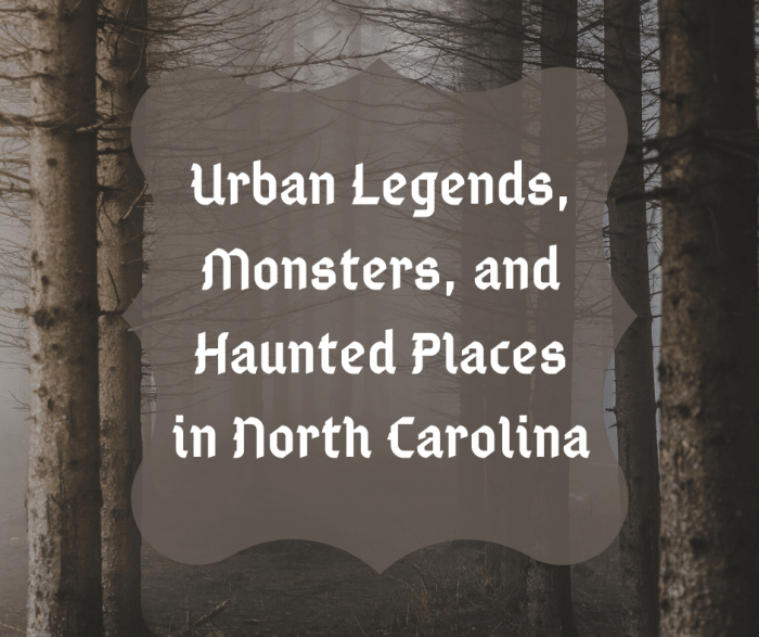Read on to learn about all the different urban legends, monsters, and haunted places in North Carolina.