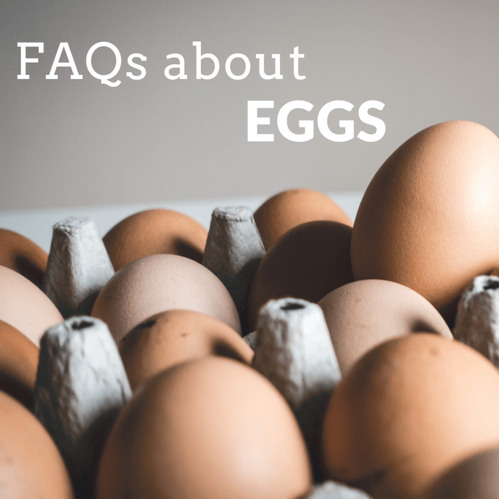 Wat is het verschil tussen bruine en witte eieren? Gele en oranje dooiers? Hoe weet je of een ei vers, vruchtbaar of scharrelvrij is? Deze en nog veel meer antwoorden wachten op u! 