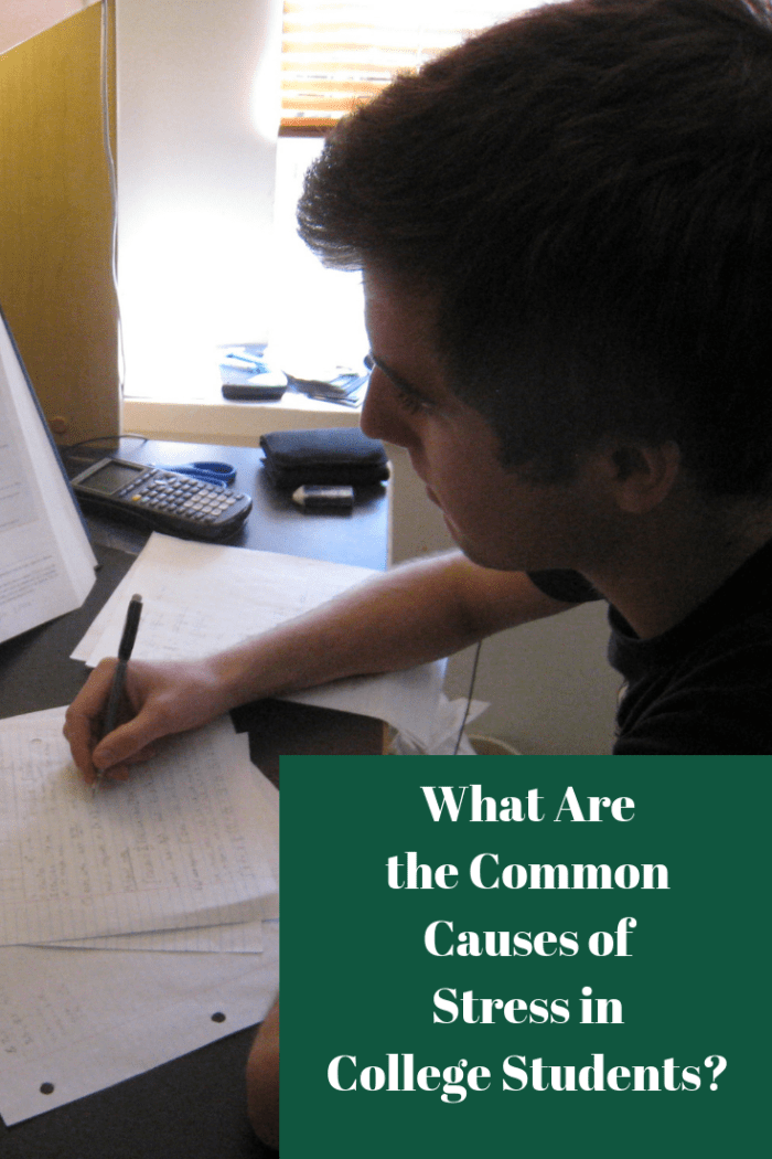 What Are The Common Causes Of Stress In College Students? - Owlcation ...