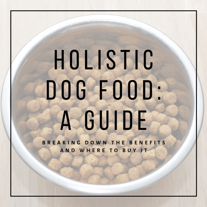 This article will break down just what holistic dog food is, what its benefits are, and where you can purchase it.