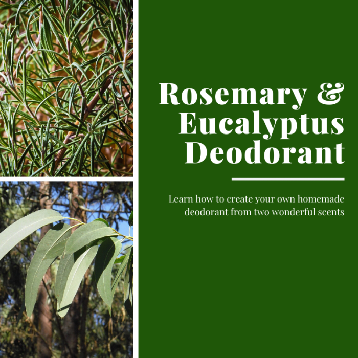 This article will show you how to craft your own homemade deodorant from rosemary and eucalyptus essential oils.