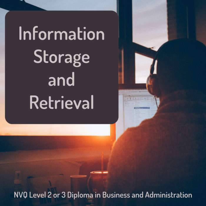 Learn about the purpose and procedures related to information storage and retrieval in business administration.