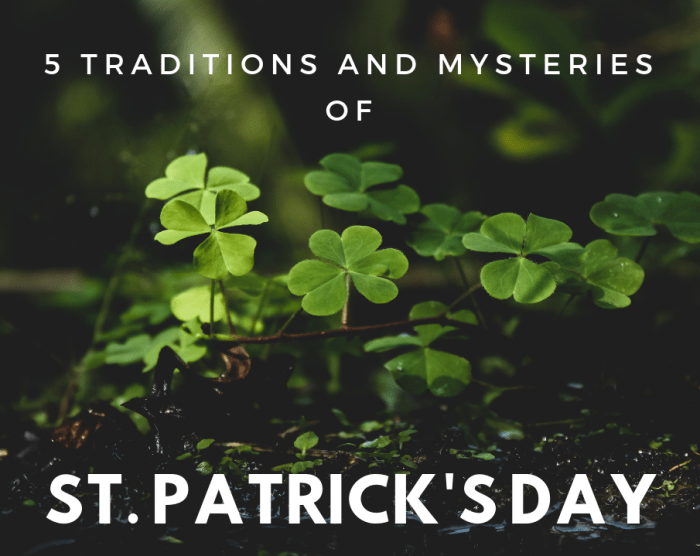 Ever wondered why you're supposed to wear green on St. Patrick's Day? Read on to find the answer to that question and more.