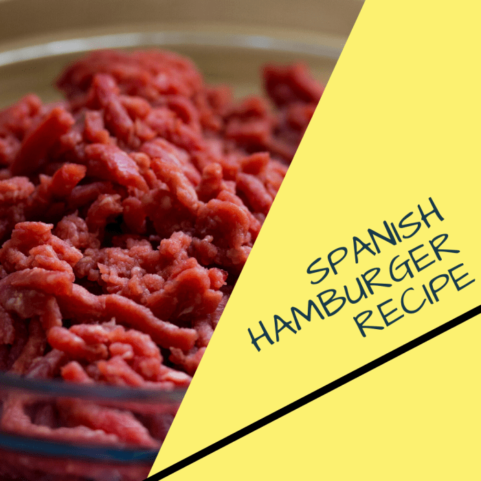 Easy 80YearOld Heirloom Spanish Hamburger Recipe Delishably