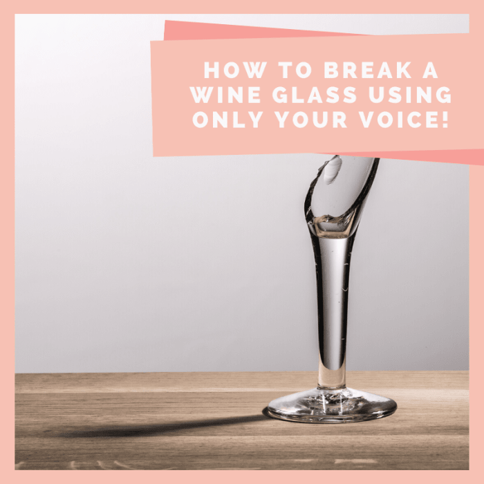 Learn how to safely break a glass using only the power of your voice. It's a fun and exciting trick that everyone will enjoy.