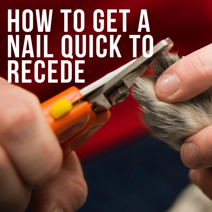 How to Get a Nail Quick to Recede