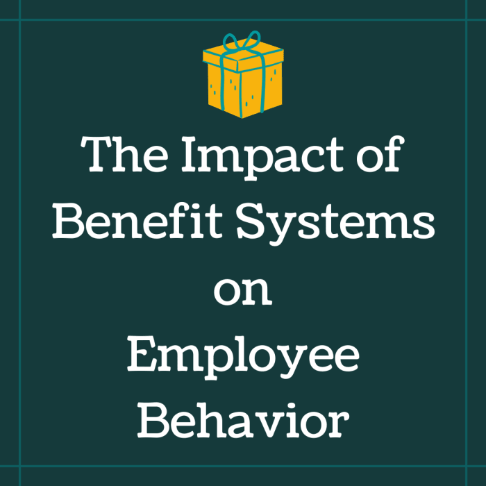Learn more about the types of benefit systems used in the workplace and how they can affect employee behavior and motivation.