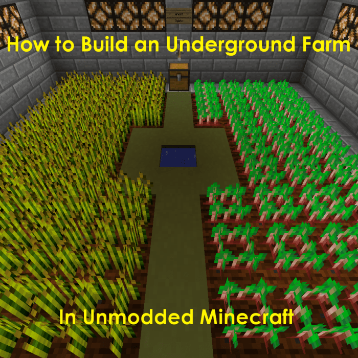 How to Build an Underground Farm in 