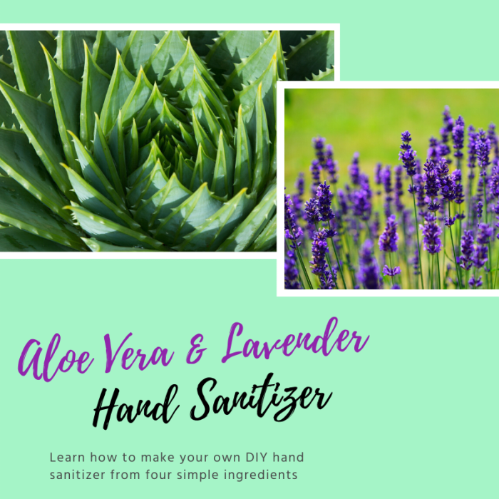 This article will show you how to create your own homemade hand sanitizer from just four simple ingredients.