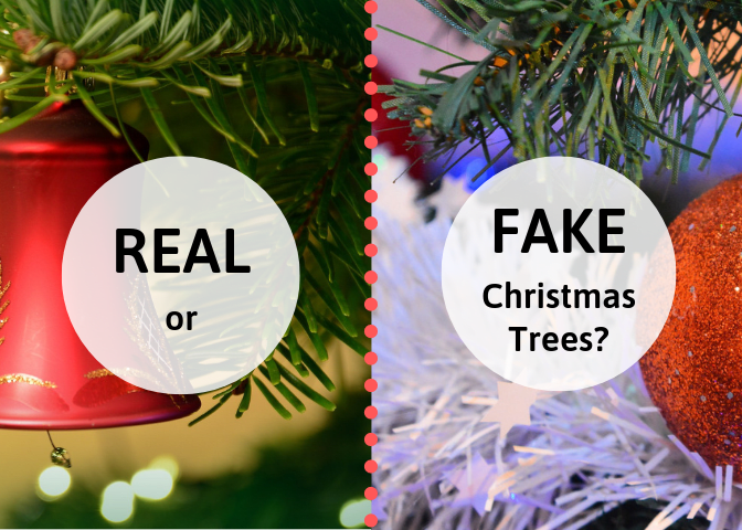 Which is better: a real, evergreen Christmas tree or an artificial tree? The answer depends on your family.