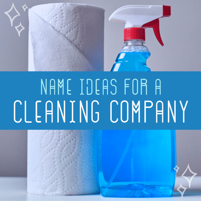 50-squeaky-cleaning-business-names-toughnickel-money