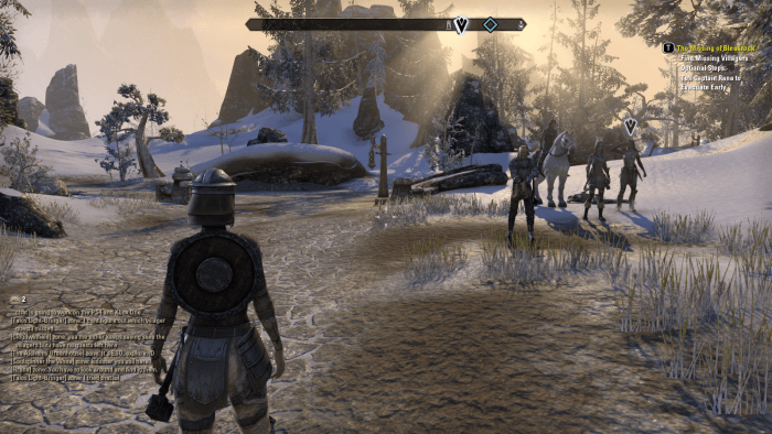 "The Elder Scrolls Online" is owned by ZeniMax Media Inc. Images used for educational purposes only.