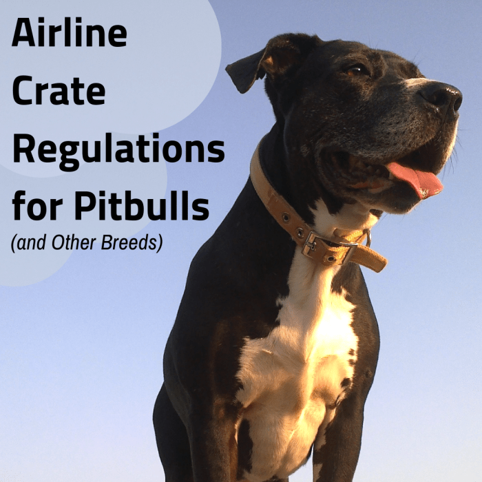 Learn what IATA LAR CR82 means and which dog breeds have special crate requirements for traveling by plane.