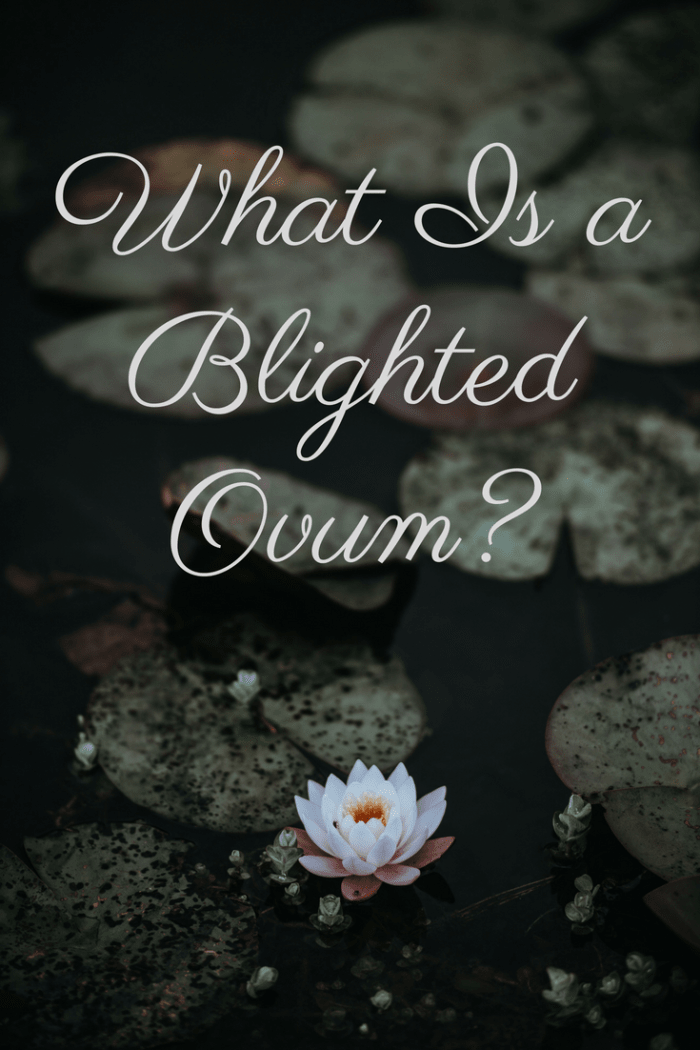 A blighted ovum can be difficult to diagnose, so don't hesitate to seek a second opinion before terminating your pregnancy after being diagnosed.