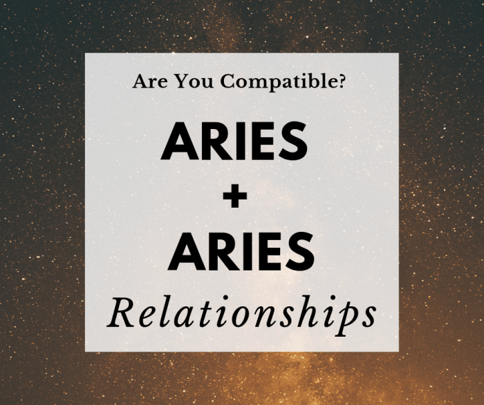 Aries are competitive by nature, but with proper communication, an Aries couple can last for a lifetime.