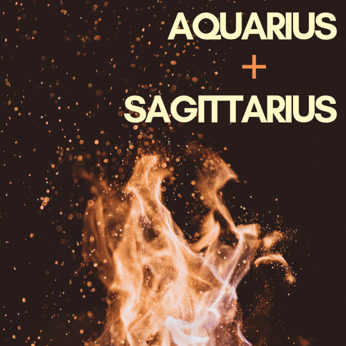 Where wind and fire meet, there are sure to be sparks. Read on to find out what makes Aquarius and Sagittarius such a perfect match.