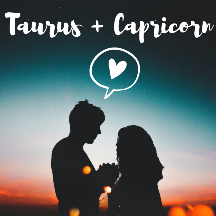 Spring and winter meet when Taurus and Capricorn get together, creating an undeniable and indelible bond.