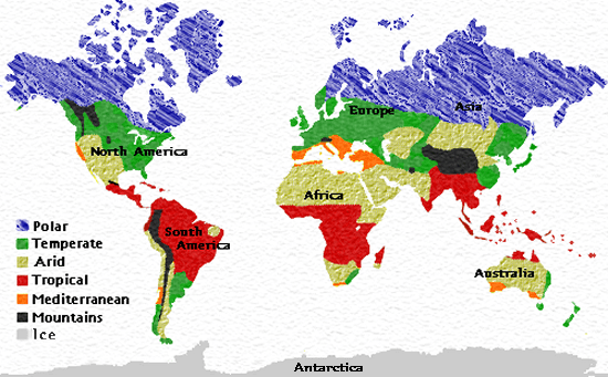 Heliconias will grow easily in these red tropical regions. I live in Cairns, in the tiny red tip of northeastern Australia on this map, where there are perfect conditions for growing heliconias and all tropical plants.