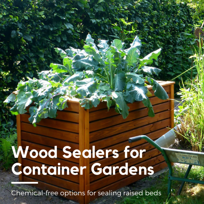 This article will break down five of my favorite safe, chemical-free options for wood sealing container gardens and raised beds.
