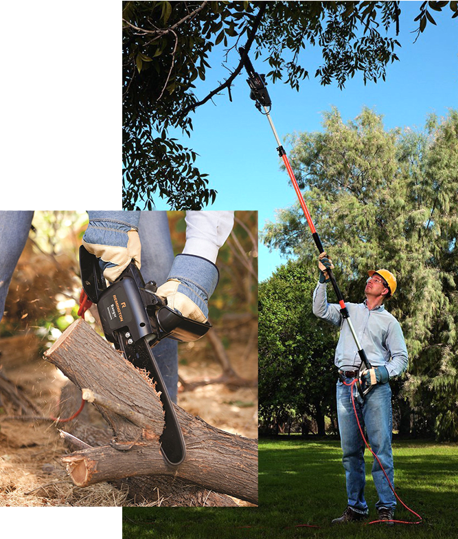 The Best Electric Pole Saws for Smaller Backyards and Gardens