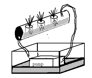 Hydroponic systems pump a dilute nutrient solution on a regular schedule to maintain optimal growth conditions. Sand is one type of media that is used in these systems.